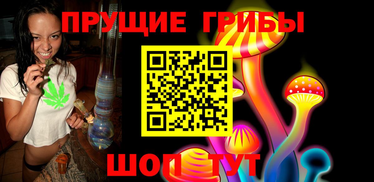 Псилоцибиновые грибы прущие грибы Россия