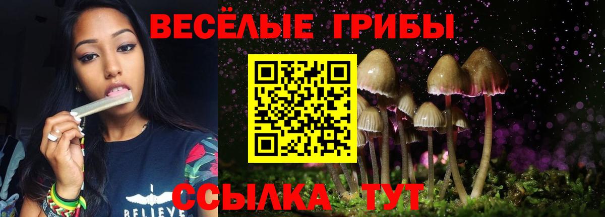 Псилоцибиновые грибы Magic Shrooms  Вход с VPN  Псилоцибиновые грибы мицелий  Россия 