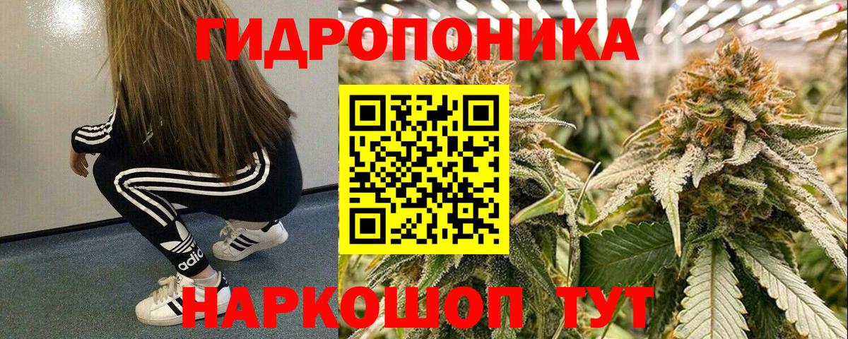Каннабис планчик  Вход с VPN  Каннабис OG Kush  Шишки марихуана THC 21%  Каннабис Bruce Banner  Россия 